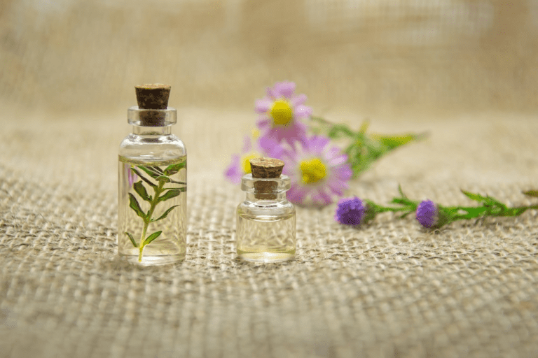 Perfume desodorante colônia com planta em dois frascos.