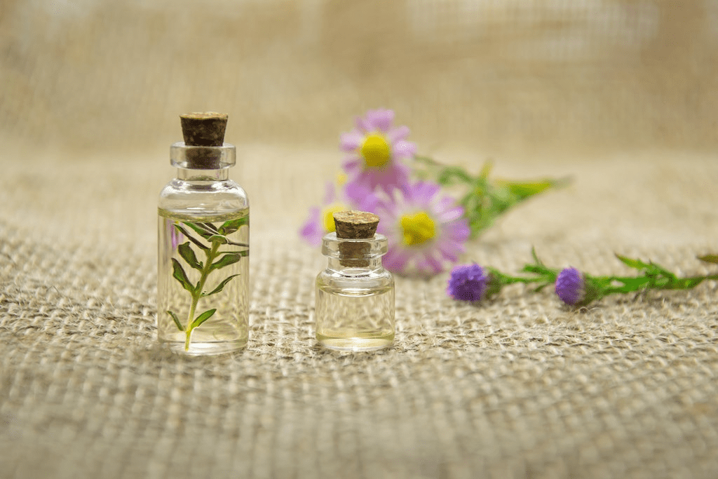 Perfume desodorante colônia com planta em dois frascos.